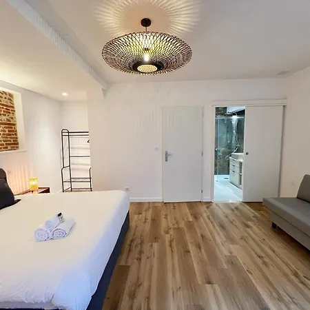 Apartament Le Boutonnier - Centre - Luxe - Terrasse - Clim Tuluza
