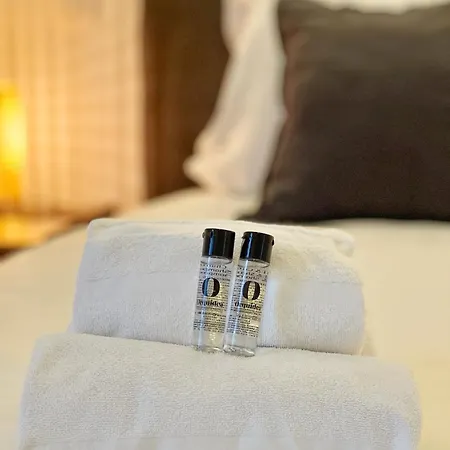 Le Boutonnier - Centre - Luxe - Terrasse - Clim *