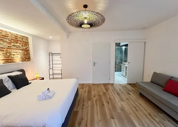 Appartement Le Boutonnier - Centre - Luxe - Terrasse - Clim Toulouse