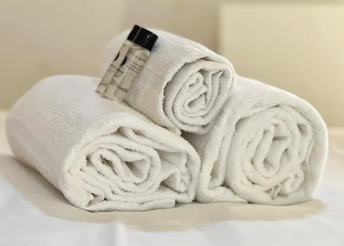 Le Boutonnier - Centre - Luxe - Terrasse - Clim Toulouse