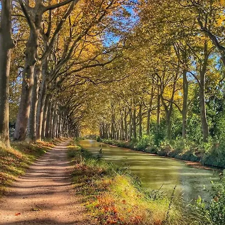 Le Boutonnier - Centre - Luxe - Terrasse - Clim *